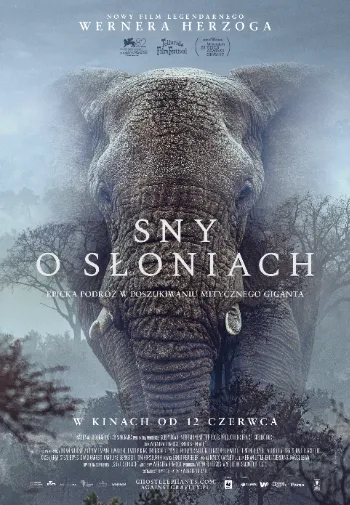 Sny o słoniach