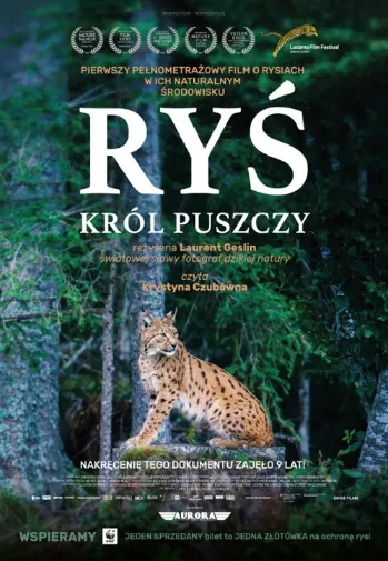 Ryś. Król puszczy