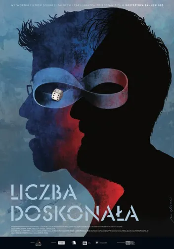 Liczba doskonała