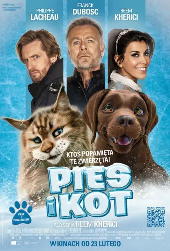 Pies i kot