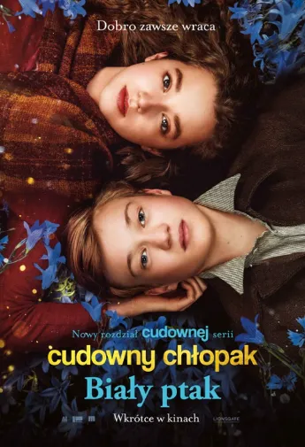 plakat filmu Cudowny chłopak. Biały ptak